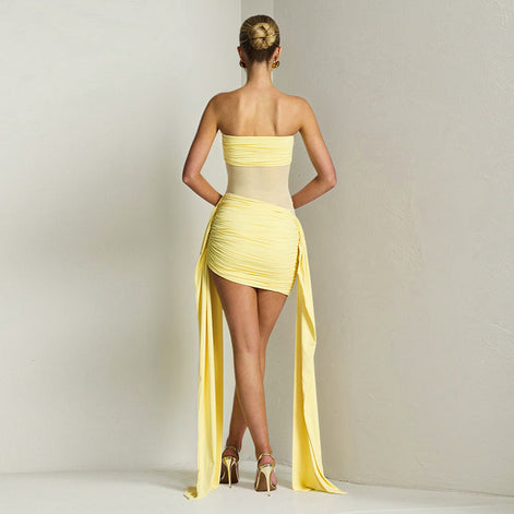 Sheer Panel Ruched Mini Dress Fonley