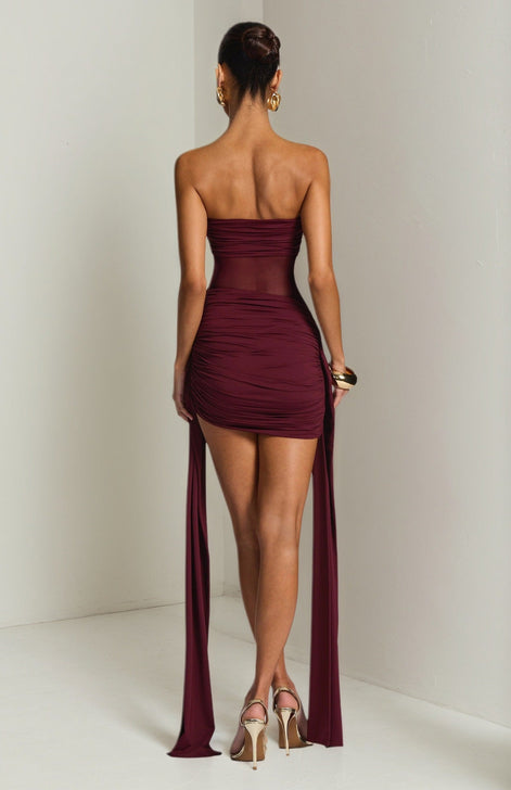 Sheer Panel Ruched Mini Dress Fonley